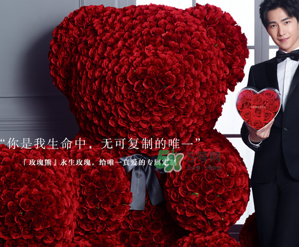 玫瑰熊制作方法 roseonly玫瑰熊制作方法 玫瑰熊制作方法 roseonly玫瑰熊制作方法