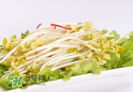 豆芽怎么保存？新鮮豆芽放冰箱能放幾天？