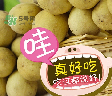 龍宮果孕婦可以吃嗎？懷孕可以吃龍功果嗎