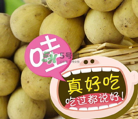 龍宮果多少錢一斤？龍功果價格表