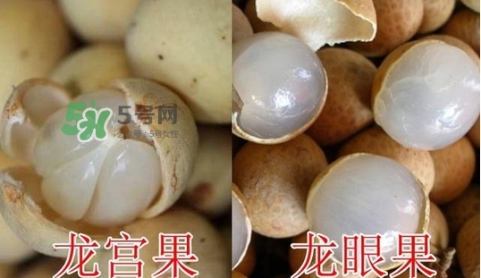 佛頭果的營養(yǎng)價值_佛頭果的功效與作用及做法大全 佛頭果的營養(yǎng)價值_佛頭果的功效與作用及做法大全