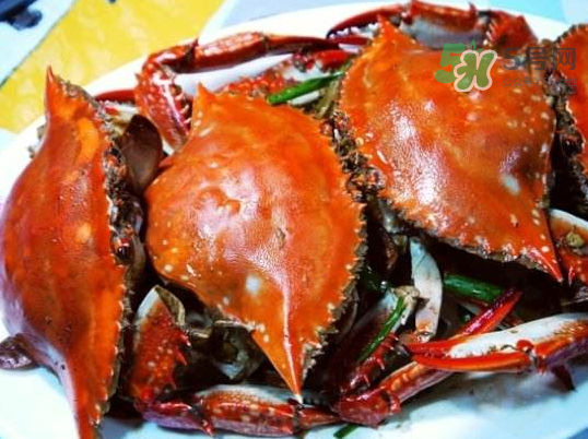 梭子蟹可以煮嗎？梭子蟹怎么煮？