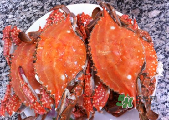 梭子蟹公的好還是母的好？?梭子蟹吃公的還是母的？