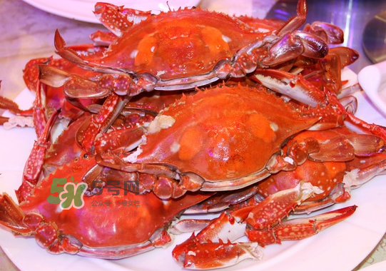 梭子蟹公的好還是母的好？?梭子蟹吃公的還是母的？