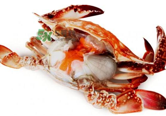 梭子蟹是寒性的嗎？梭子蟹哪些人不能吃？