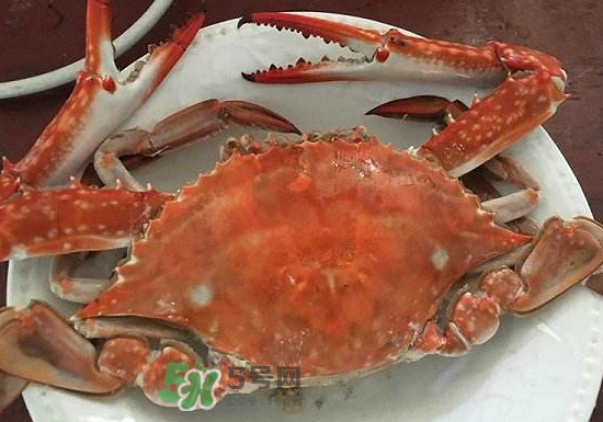 梭子蟹是寒性的嗎？梭子蟹哪些人不能吃？