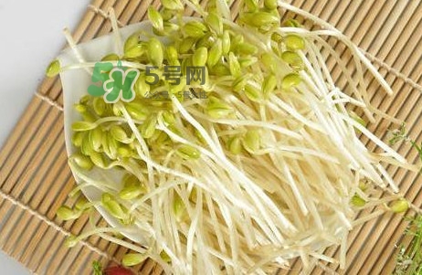 豆芽怎么保存？新鮮豆芽放冰箱能放幾天？