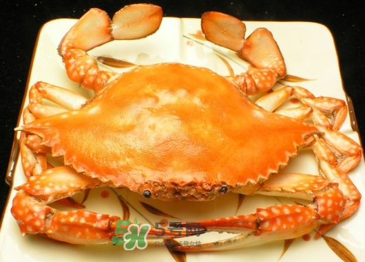 飛蟹什么時(shí)候最肥？飛蟹幾月份最肥？