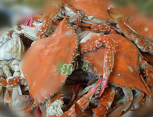 飛蟹不能和什么一起吃？飛蟹和什么不能一起吃？