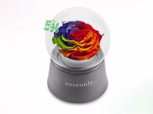 roseonly音樂盒多少錢？roseonly音樂盒歌曲名