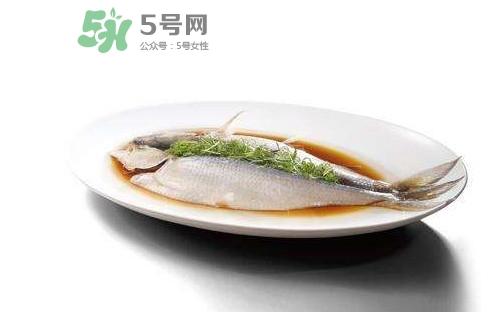 鰣魚還有嗎？長江鰣魚滅絕了嗎