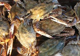 梭子蟹為什么這么貴？梭子蟹和大閘蟹哪個貴？