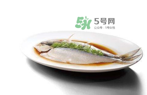 鰣魚(yú)刺多嗎？鰣魚(yú)可以養(yǎng)殖嗎