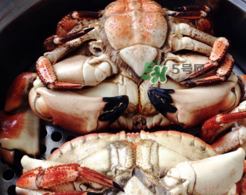 面包蟹可以直接蒸嗎？清蒸面包蟹怎么做？