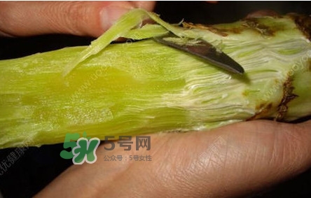 青筍怎么處理？青筍怎么切成菱形