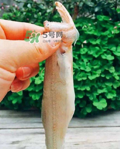 水潺怎么讀？水潺是海鮮嗎