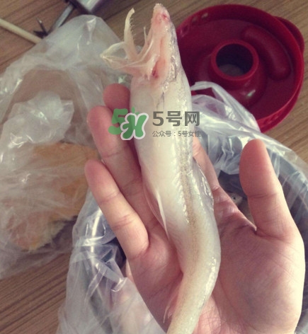 海鮮水潺孕婦可以吃嗎？水潺魚的營(yíng)養(yǎng)價(jià)值