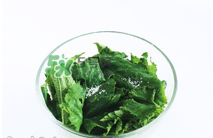 南瓜苗怎么做好吃？南瓜苗怎么撕？