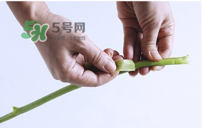 南瓜苗怎么做好吃？南瓜苗怎么撕？