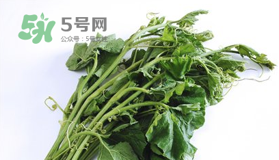 南瓜苗怎么做好吃？南瓜苗怎么撕？