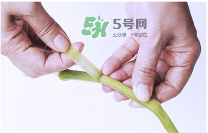 南瓜苗怎么做好吃？南瓜苗怎么撕？