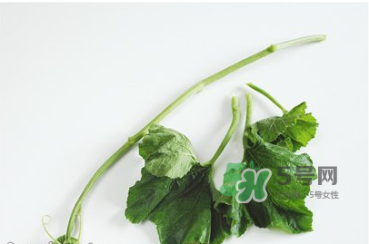 南瓜苗怎么做好吃？南瓜苗怎么撕？