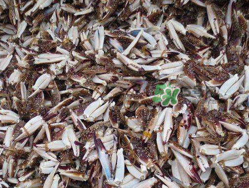 冷凍的梭子蟹能吃嗎？冷凍的梭子蟹怎么做？