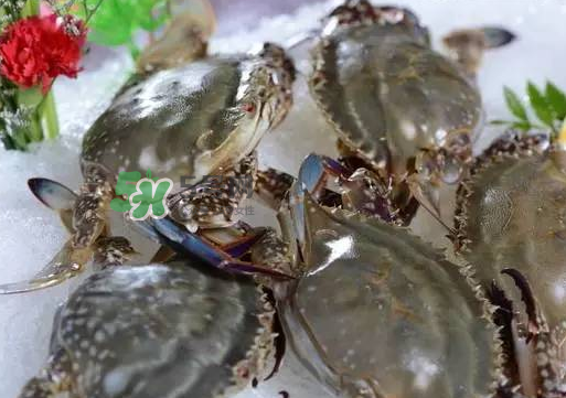 梭子蟹放冷藏還是冷凍？梭子蟹可以放速凍嗎？