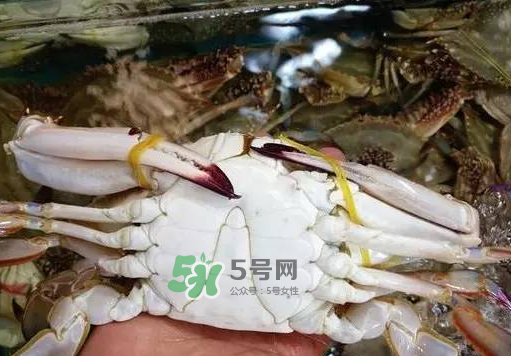 梭子蟹放冷藏還是冷凍？梭子蟹可以放速凍嗎？