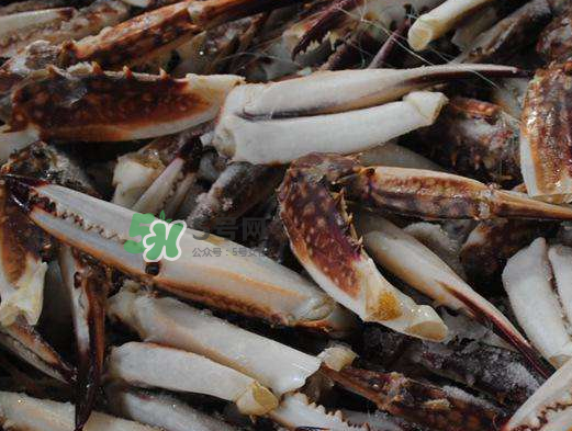 梭子蟹放冷藏能活多久？梭子蟹放冷凍保存多久？