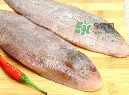 寶寶多大能吃龍利魚？幾個月的寶寶可以吃龍利魚