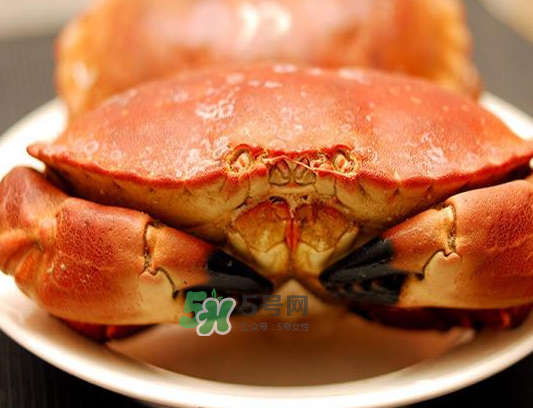 面包蟹一只多少斤？面包蟹一只多少錢？