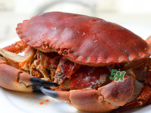 面包蟹一只多少斤？面包蟹一只多少錢？