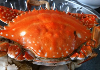 梭子蟹可以清蒸嗎？梭子蟹蒸還是煮？