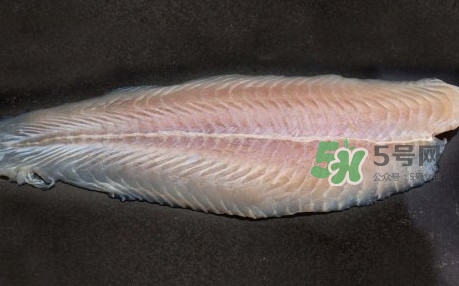 龍利魚是淡水魚嗎？龍利魚是巴沙魚嗎