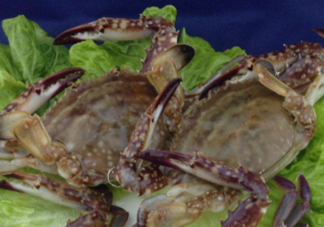 梭子蟹放冷藏能活多久？梭子蟹放冷凍保存多久？