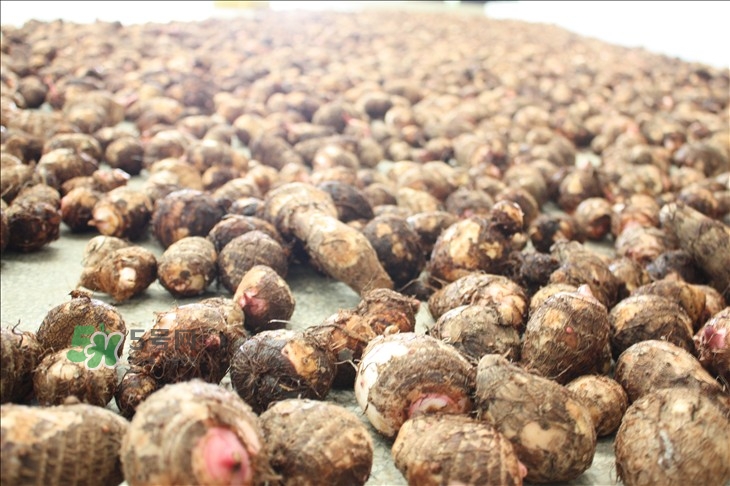 中秋節(jié)為什么吃芋頭？中秋節(jié)吃芋頭的來源