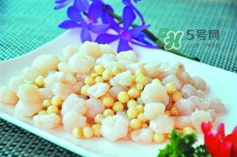 怎么辨別荸薺粉的真假？荸薺粉哪個(gè)牌子的好