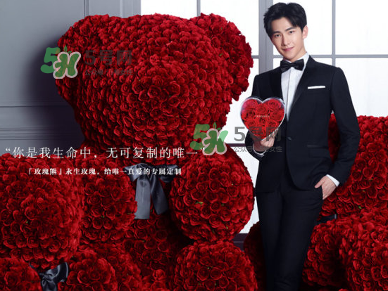 roseonly熊怎么樣？roseonly玫瑰熊好看嗎？