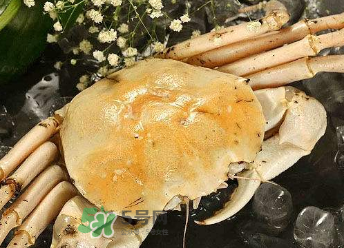 雪蟹多少錢一斤？雪蟹多少錢一只？