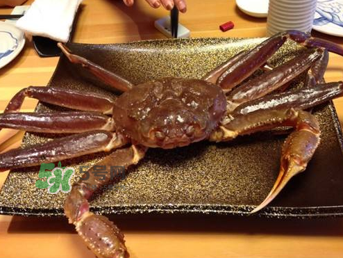 雪蟹多少錢一斤？雪蟹多少錢一只？