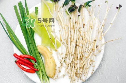 魚(yú)腥草用開(kāi)水泡可以嗎？魚(yú)腥草用量多少克？