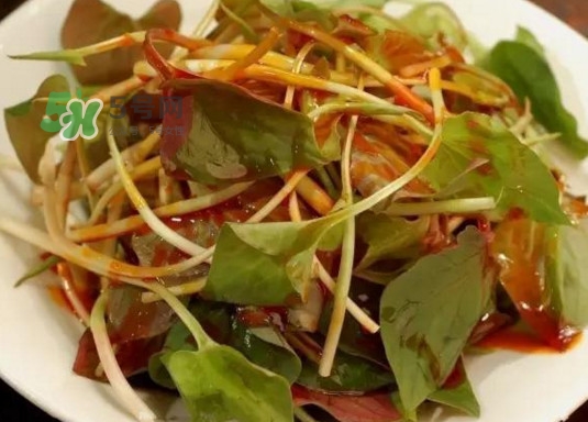 魚腥草多少錢一斤？干的魚腥草多少錢一斤