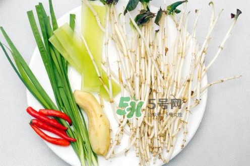 魚(yú)腥草什么季節(jié)有？魚(yú)腥草什么時(shí)候采摘最好