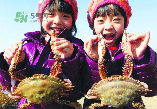 青島梭子蟹多少錢一斤？青島梭子蟹什么時候上市？