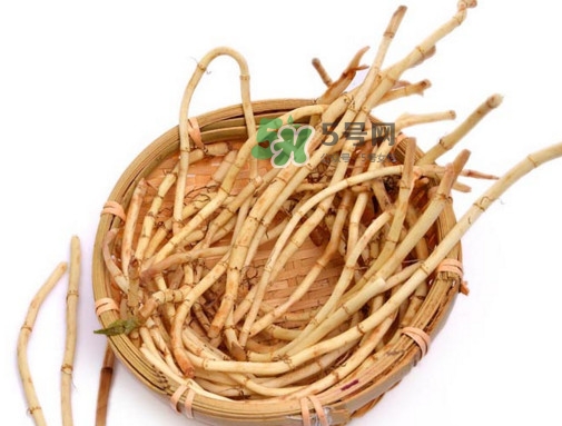 折耳根有毒嗎？折耳根有毒吃了會(huì)傷腎？