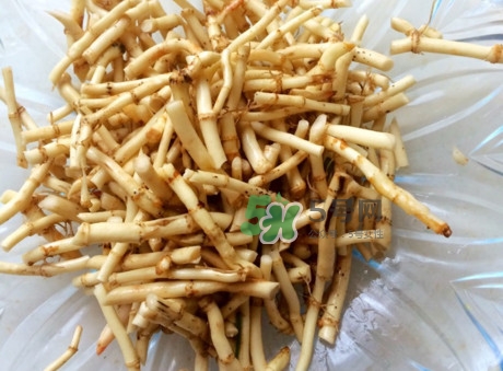 魚腥草可以和蜂蜜一起喝嗎？蜂蜜能和魚腥草一起泡嗎