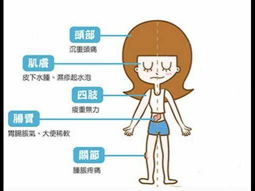 人體的濕氣是怎么來的 濕氣重表現(xiàn)在哪些方面 人體的濕氣是怎么來的 濕氣重表現(xiàn)在哪些方面