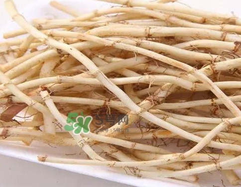 經(jīng)常吃折耳根有什么好處？折耳根的用法用量