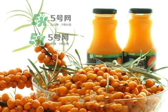 沙棘是什么？沙棘的功效與作用